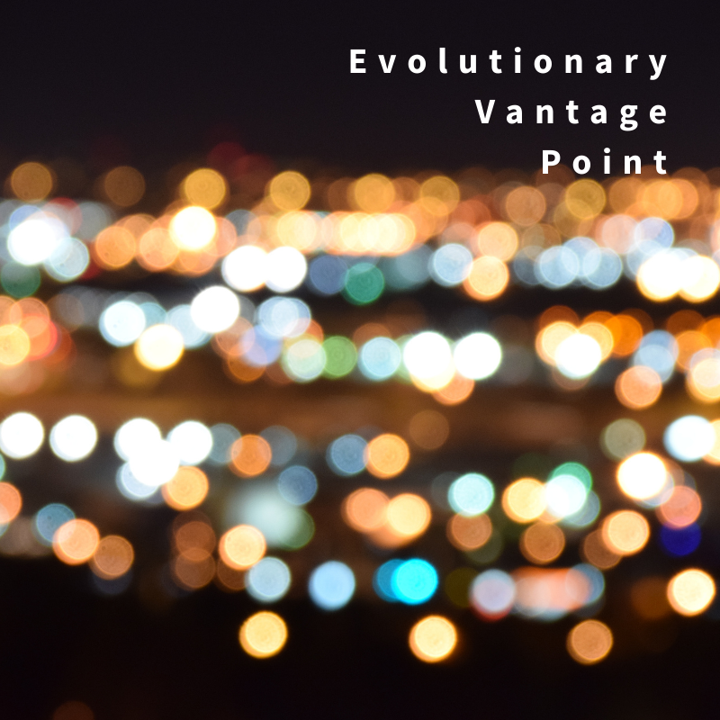 WEB-SQUARES-Evolutionary-Vantage-Point