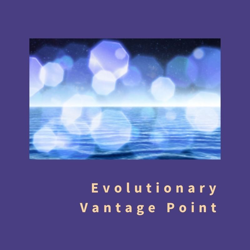 Evolutionary Vantage Point